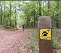 Eerste wandeling in het nieuwe jaar
