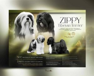 Foto Tristan en Nora