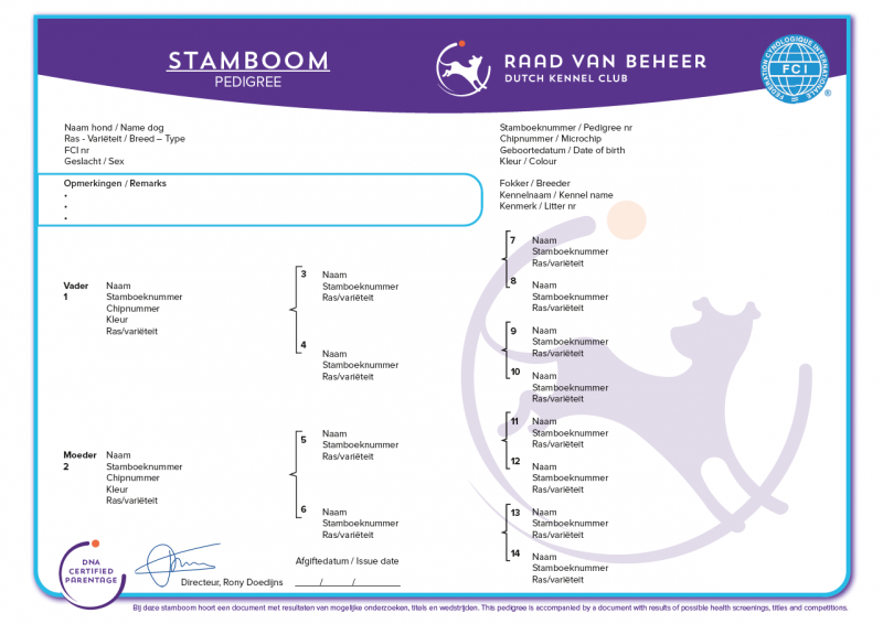stamboom voorbeeld