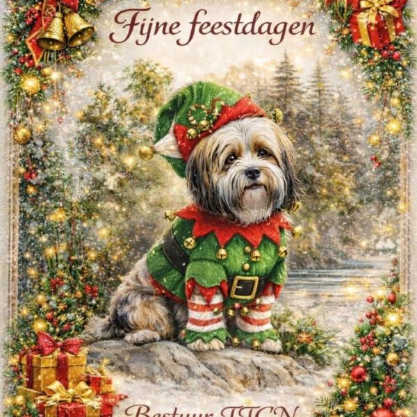 FIJNE FEESTDAGEN