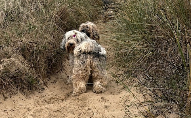 55C16116-5111-46CD-AFEA-1D09D45DB331