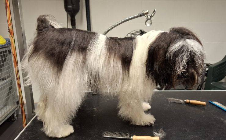 656943ca-bd03-450f-b067-744a417a5982