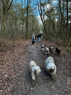 PHOTO-2026-03-16-13-07-21