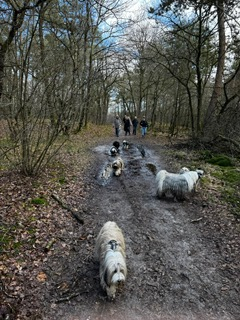 PHOTO-2026-03-16-13-07-22