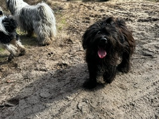 PHOTO-2026-03-16-13-07-25 (1)