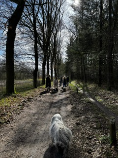 PHOTO-2026-03-16-13-07-25