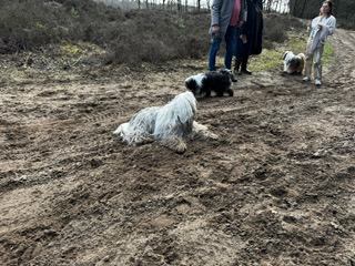 PHOTO-2026-03-16-13-07-26